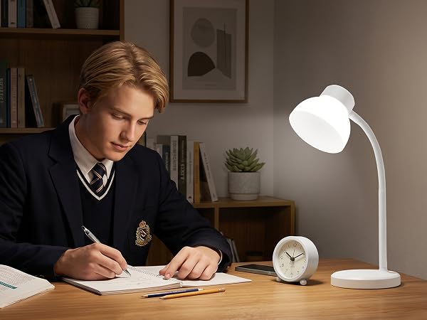 Desk Lamp for College Dorm Room