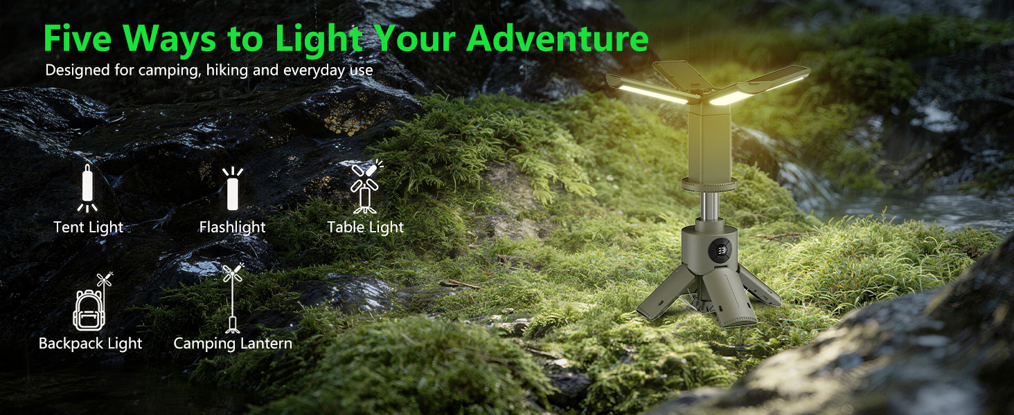 portable light