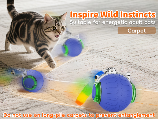 interactive cat ball toys for indoor cats