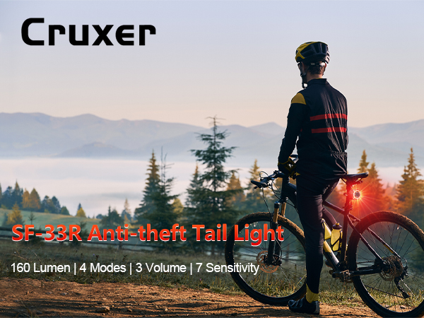 Bike Alarm with Bicycle Tail Light