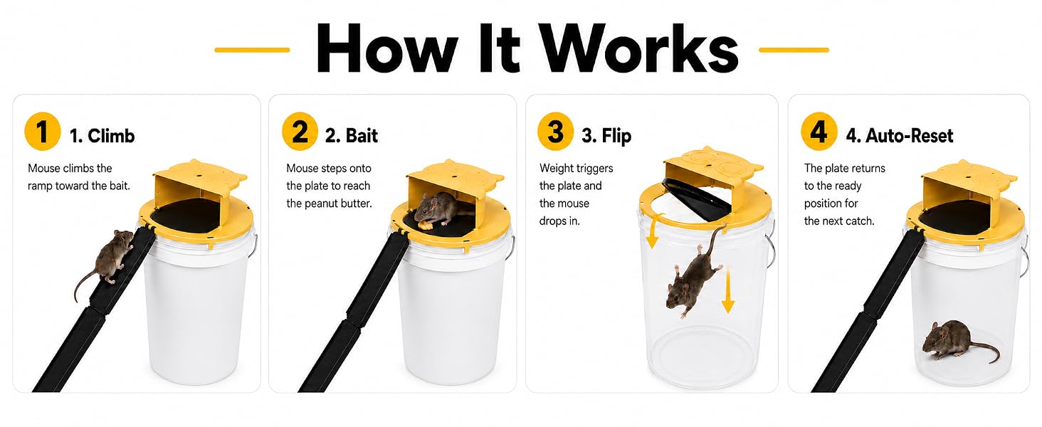 Bucket Mouse Trap Lid