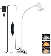 Clip on Reading Light, 3000K - 6500K Clamp Desk Lamp, 10-Levels Brightness Clamp Light, High = 90...