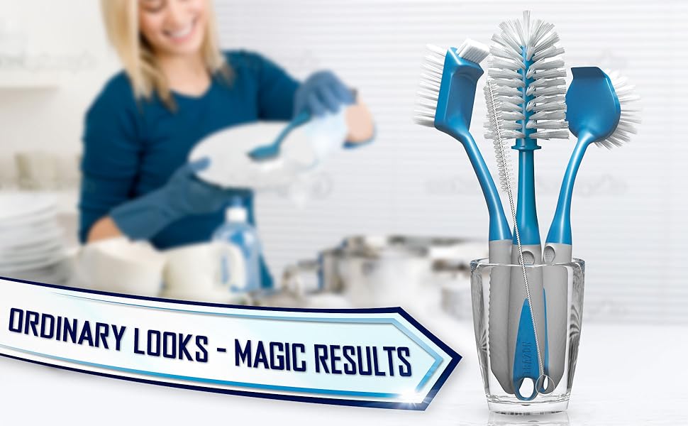 Dish Brush