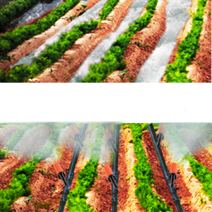 Adjustable Irrigation Dripper