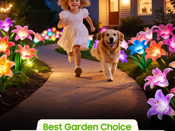 garden lights solar powered