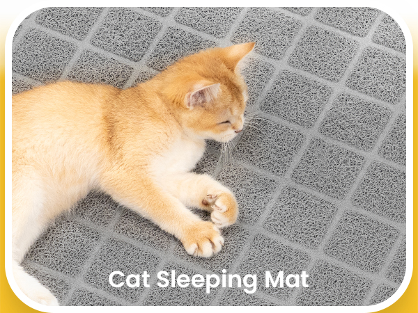 cat litter mat