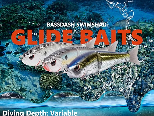 BASSDASH GLIDE BAIT