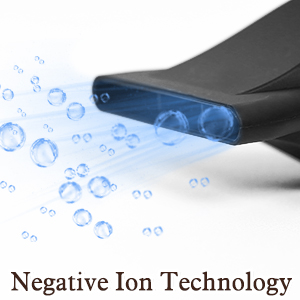 Professional Ionic Hair Dryer