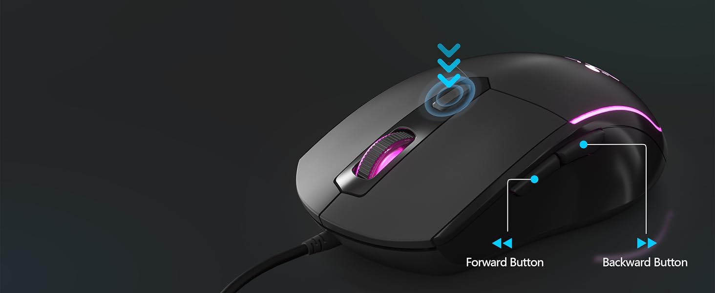 mouse
