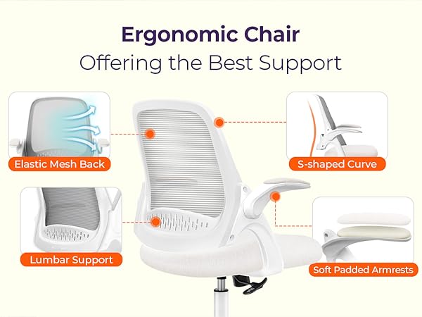 Ergonomic Chair with Comprehensive Support