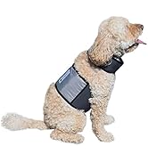 CoolerDog Dog Cooling Vest and Cooling Collar - Ice Vest for Dogs Small (18" to 22" Girth)