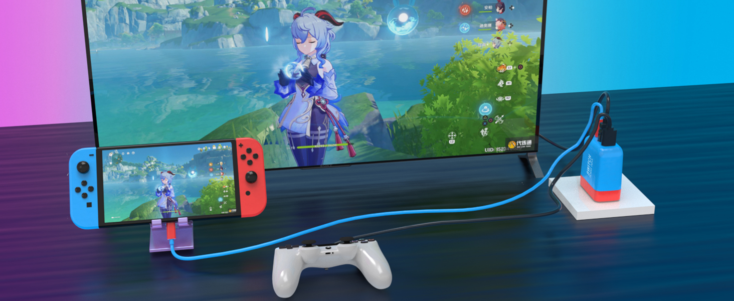 Switch Dock Mode