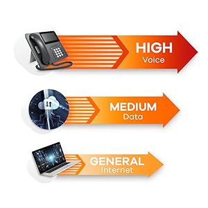 QoS ports for smooth VoIP and data exchange.