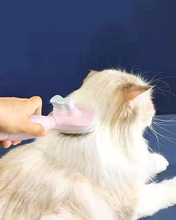cat brush