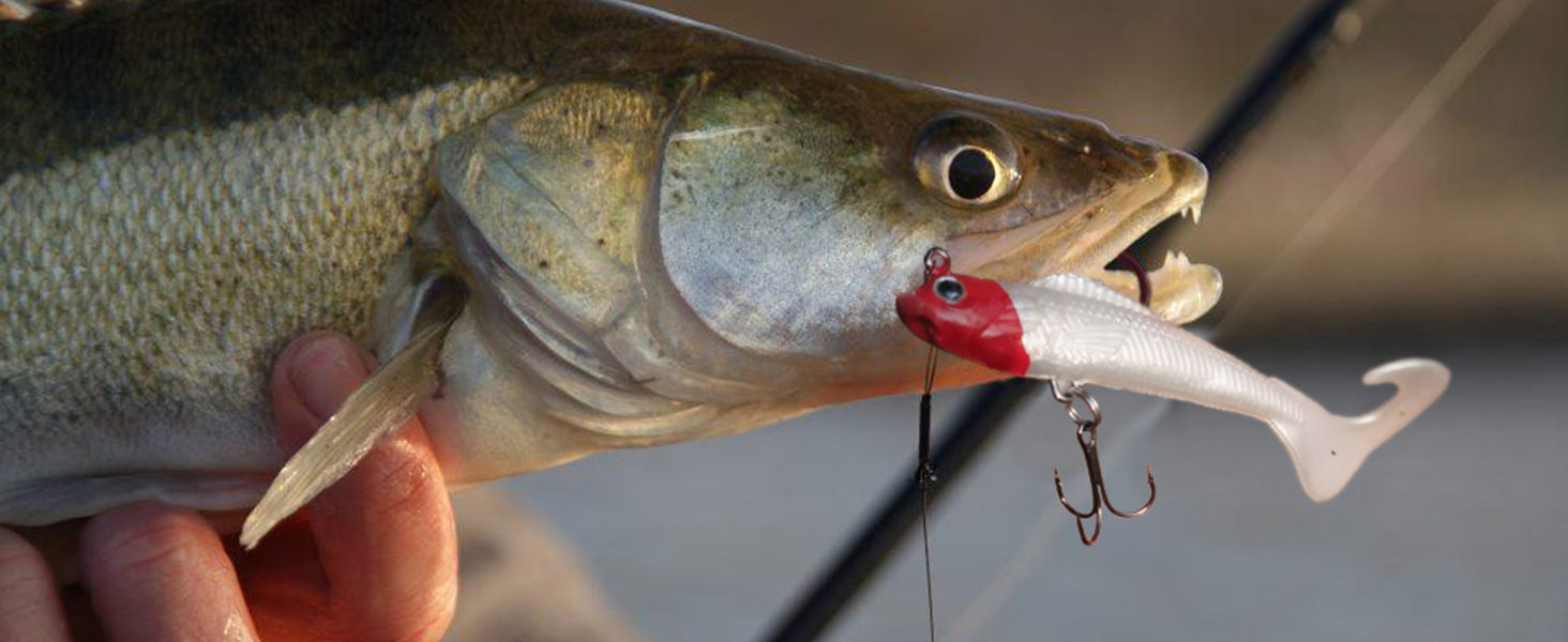 soft bait lure