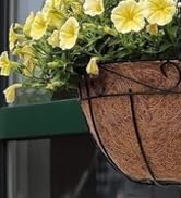 plants hooks