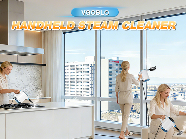 handheld steam cleaner