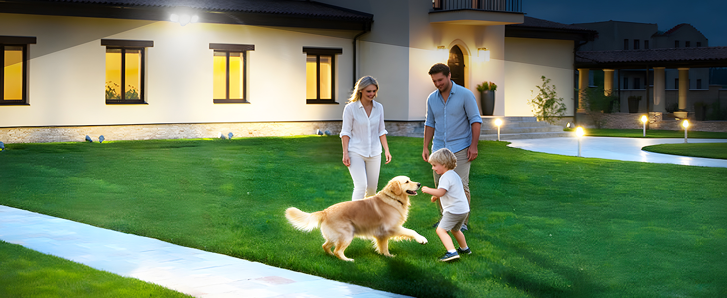 solar motion sensor light