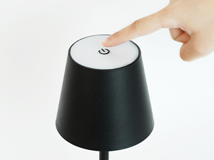 touch lamp