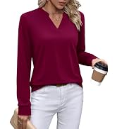 WIHOLL V Neck Business Casual Tops Fall Trendy Long Sleeve Shirts S-2XL | V Neck,Work Tops,Profes...
