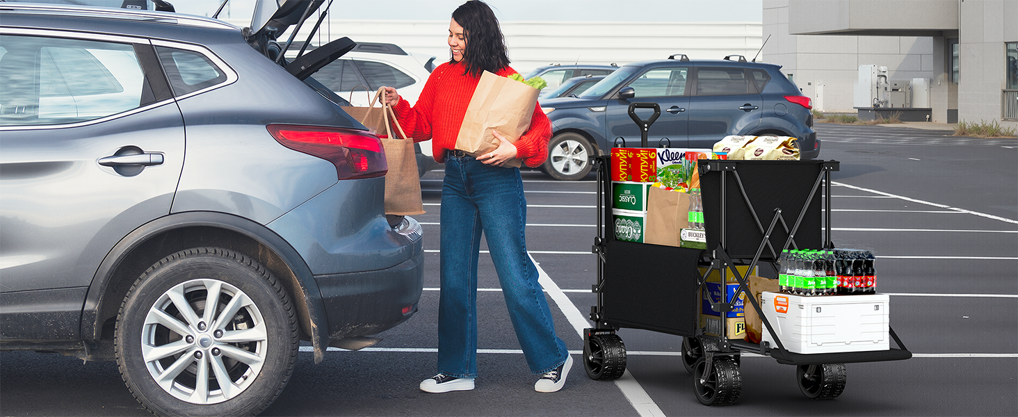 Wagon cart for Shopping