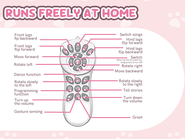 remote control car for girls