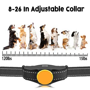Adjustable Collar & Feature Protection Mode