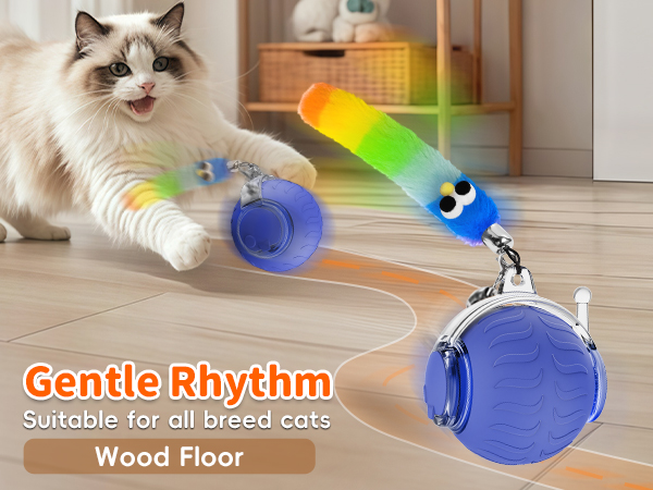 moving cat ball toy