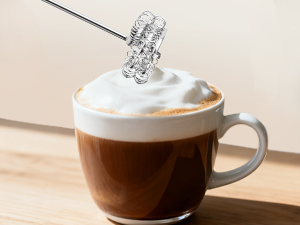 milk foamer frother