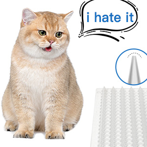 scat mat for cats