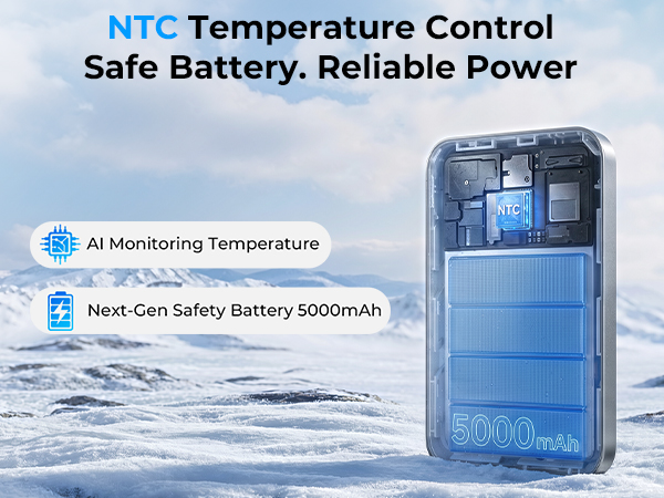 NTC Temperature Control