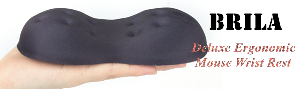 Mouse support cushion