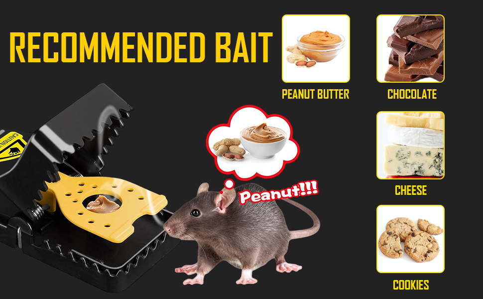 Mouse Traps 12-Pack