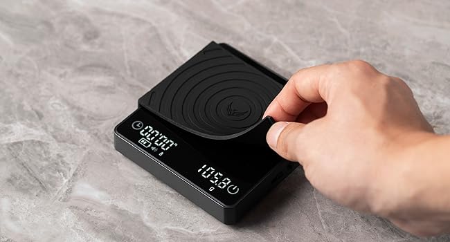 gaggia classic pro evo e24 portafilter