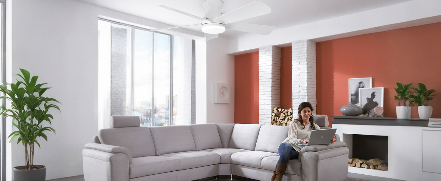 living room ceiling fan with lights