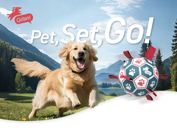 Qdan dog soccer ball with straps