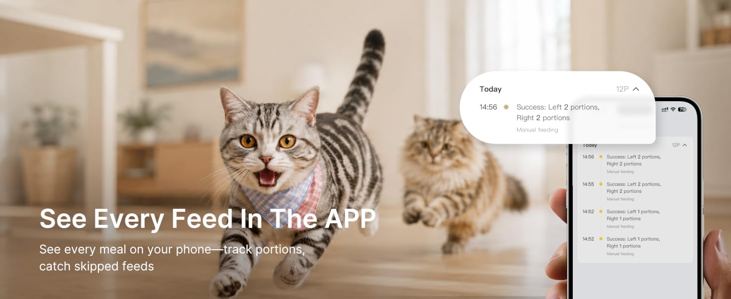 automatic pet feeder