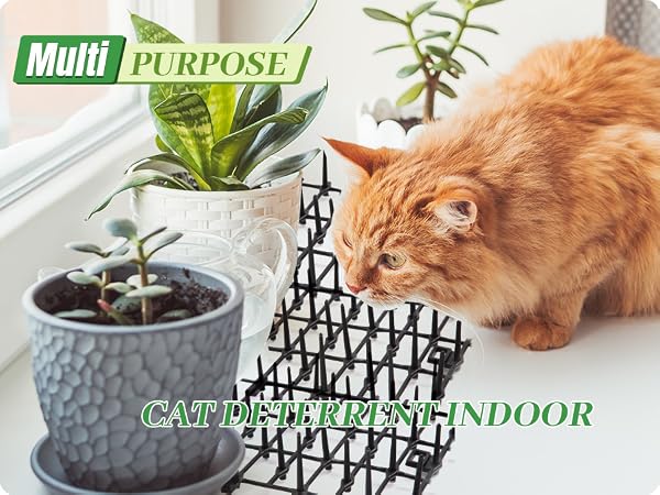 6.5ft Cat Scat Mat