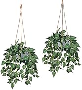 Tiyard 2pcs Fake Hanging Plants, Artificial Hanging Plants with Potted Greenery Vine for Wall Ind...