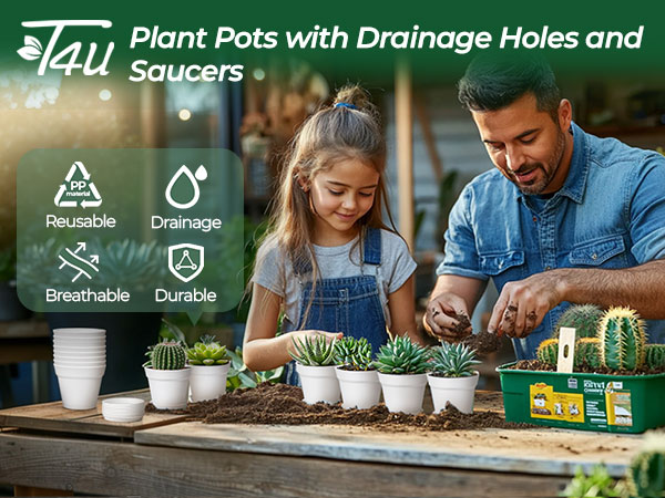 plant pots
