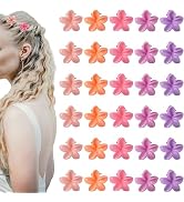 hisial 30PCS Mini Flower Hair Clips for Women Small Claw Clips Cute Tiny Barrettes Decorative Hai...