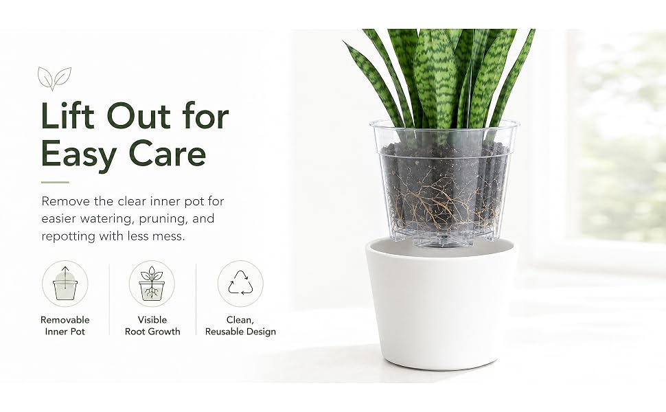 lift out for easy care