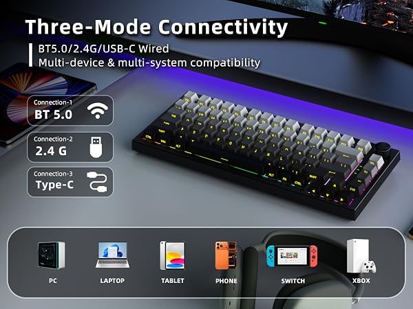 K81-???-2