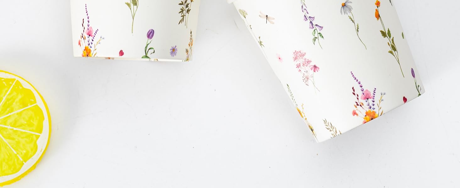 dixie cups 5 oz bathroom cups
