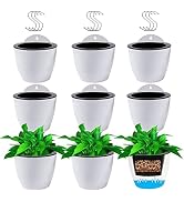 Jucoan 9 Pack Self Watering Hanging Planter, 5 Inch Dua-pots Lazy Flower Pot, White Plastic Wall ...