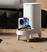 automatic cat feeder
