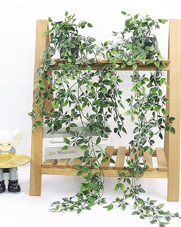 https://m.media-amazon.com/images/S/aplus-media-library-service-media/f0a068ab-35ad-4307-a429-cf13e7a076f8.__CR0,0,724,906_PT0_SX362_V1___.jpg