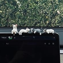 Car Accessories for Women