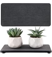 NiuYichee 2 Pcs Water Absorbing Stone Trays, Kitchen/Bathroom Sink Soap Dish, Diatomite Tray Used...