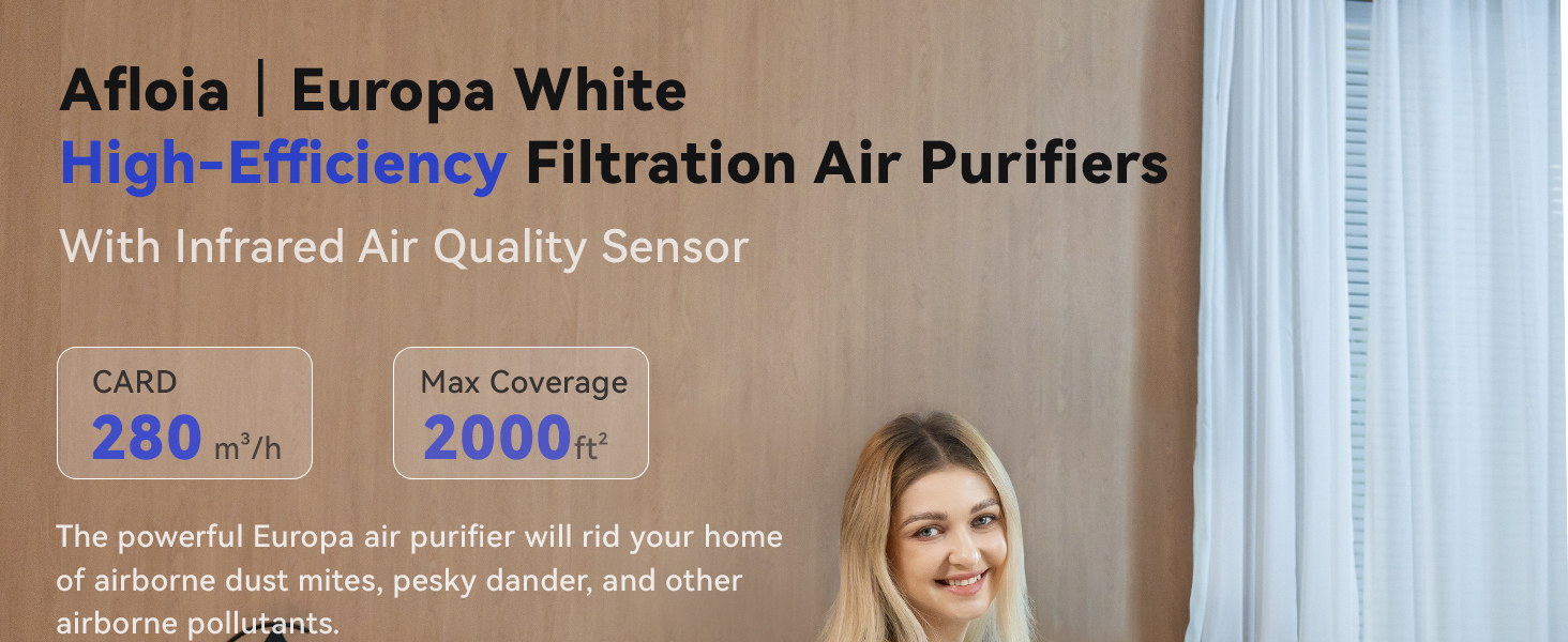 air purifiers for home large room